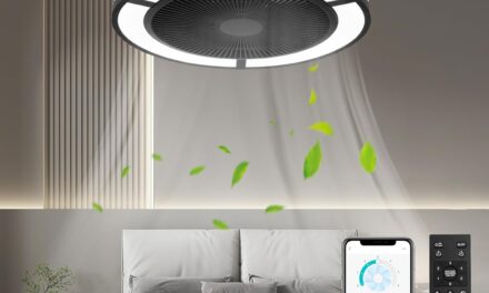 Ohniyou Enclosed Ceiling Fan Review