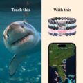 fahlo shark tracking bracelet elastic supports saving the blue one size fits most for men and women